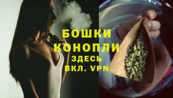 индика Магадан