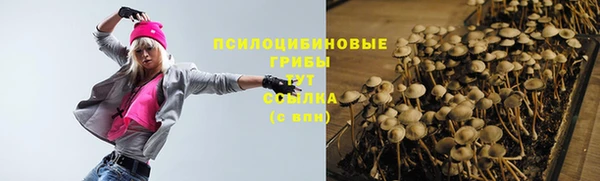 индика Магадан