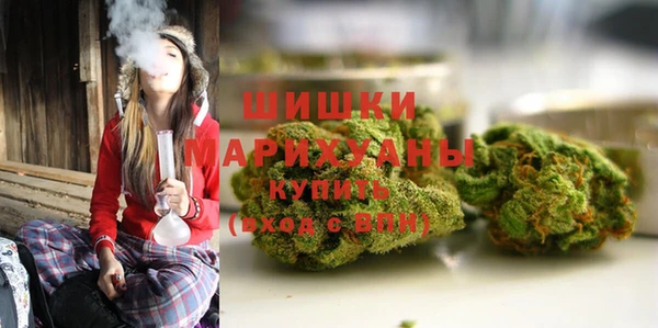 гидропоника Мегион
