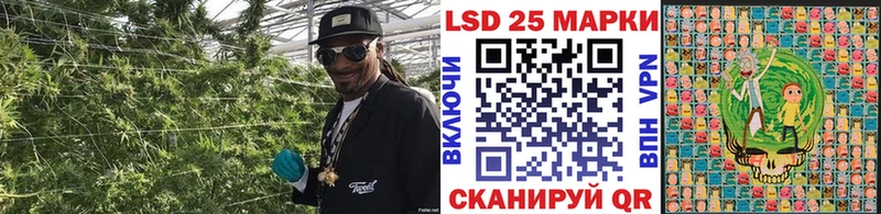 Марки 25I-NBOMe 1,5мг  Жиздра 
