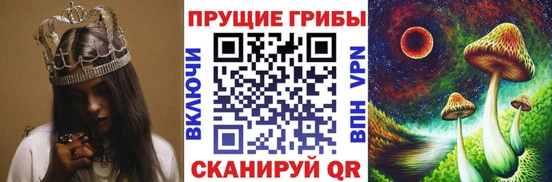 Псилоцибиновые грибы мицелий  наркотики  Жиздра 