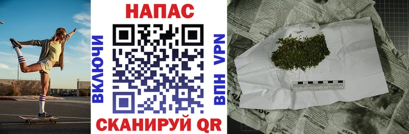 купить  сайты  Жиздра  Марихуана тримм 